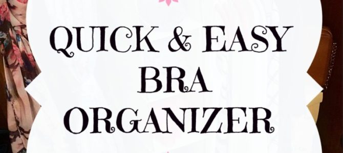 QUICK AND EASY BRA ORGANIZER