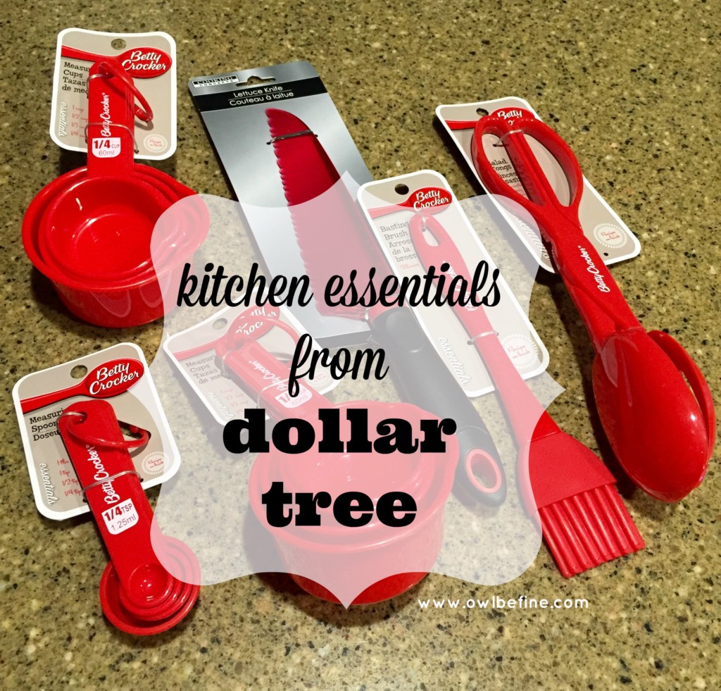 KITCHEN ESSENTIALS I GET FROM DOLLAR TREE